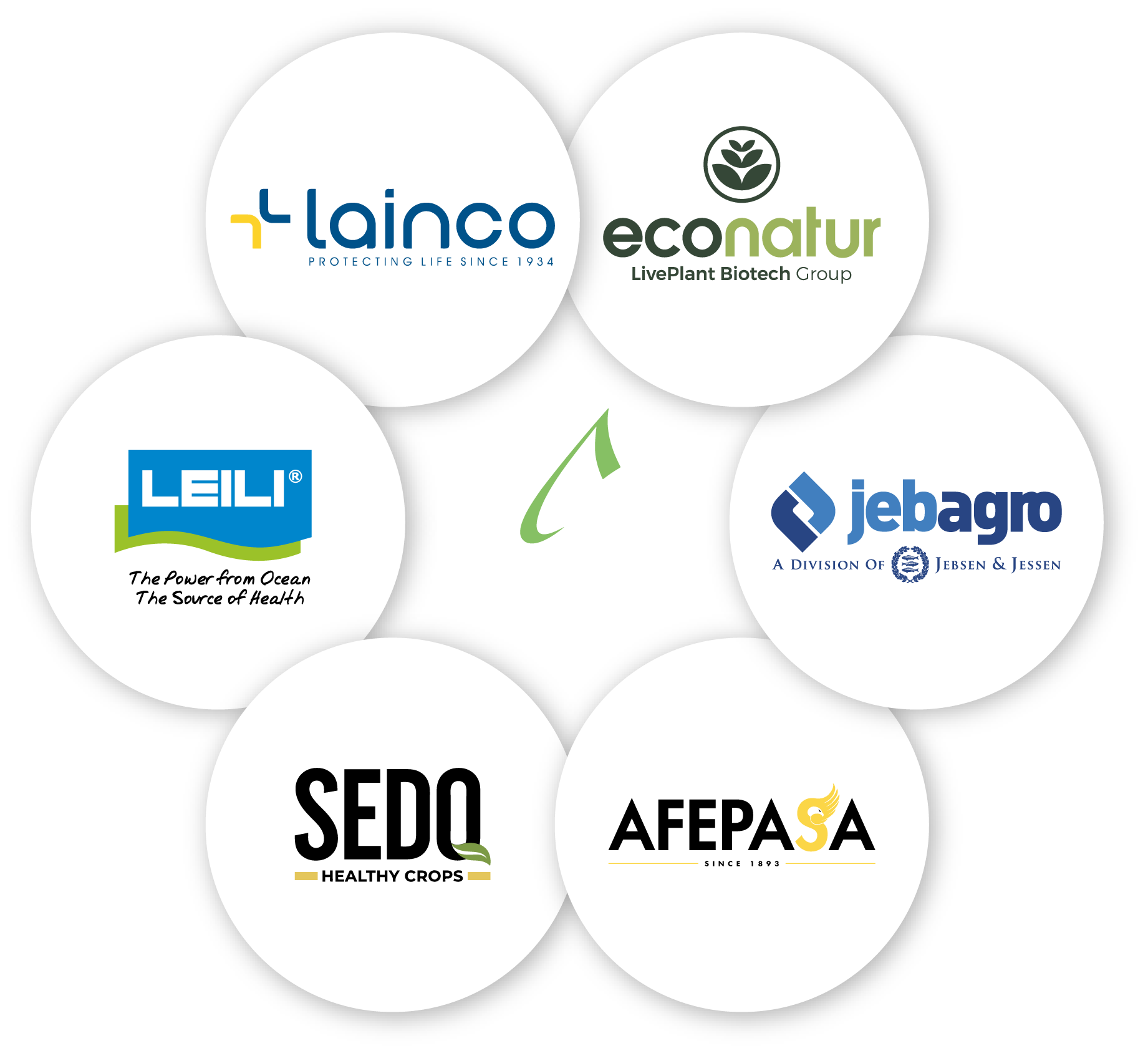 6-partner